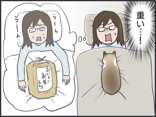 だら〜んと床に転がる猫たちは、これからの季節の風物詩／フニャコ（5）