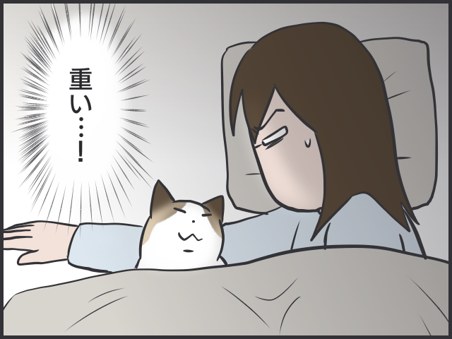 だら〜んと床に転がる猫たちは、これからの季節の風物詩／フニャコ（6）