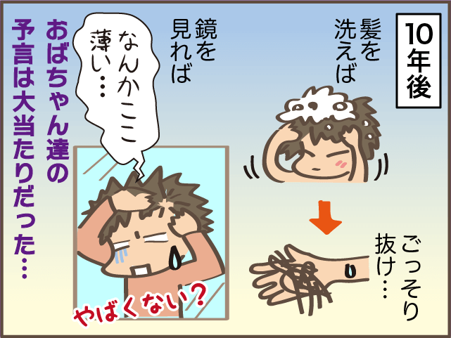 「年と共に髪が減るよ～」は本当だった！毛量が多かった私の現在／しまえもん（5）