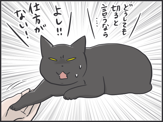 うなぎの如くぬるりと逃げる！猫の爪切りは難易度高し／フニャコ（3）