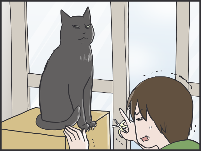 うなぎの如くぬるりと逃げる！猫の爪切りは難易度高し／フニャコ（5）