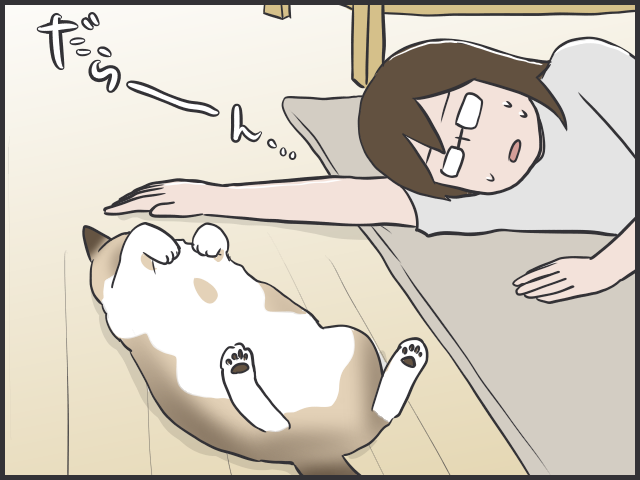 暑すぎるぜ夏！毛皮を脱げない猫たちはどう過ごしてる？／フニャコ（2）