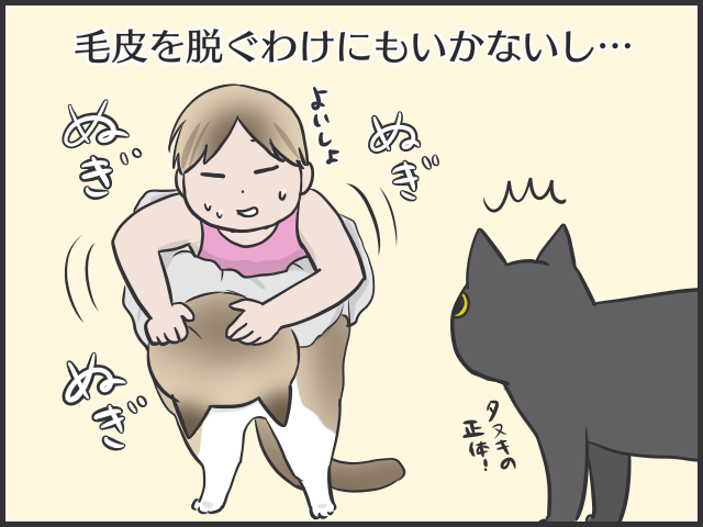暑すぎるぜ夏！毛皮を脱げない猫たちはどう過ごしてる？／フニャコ（3）