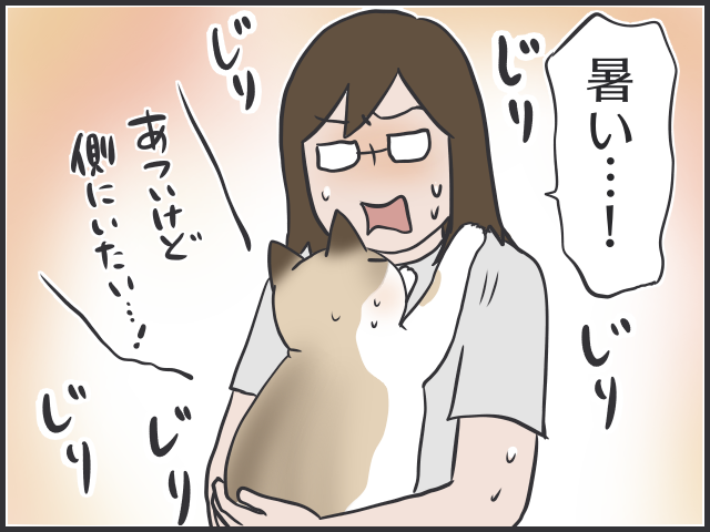 暑すぎるぜ夏！毛皮を脱げない猫たちはどう過ごしてる？／フニャコ（5）