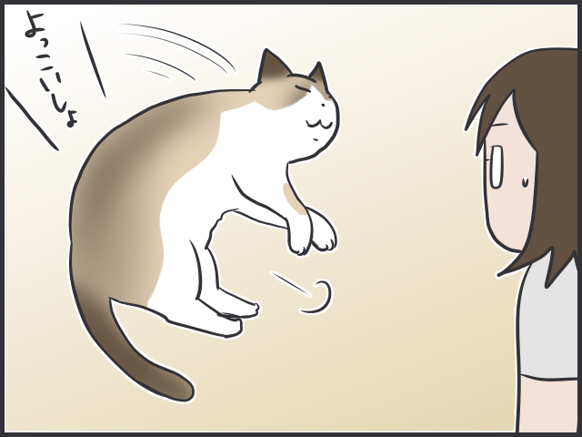 暑すぎるぜ夏！毛皮を脱げない猫たちはどう過ごしてる？／フニャコ（6）