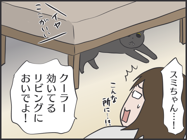 暑すぎるぜ夏！毛皮を脱げない猫たちはどう過ごしてる？／フニャコ（7）