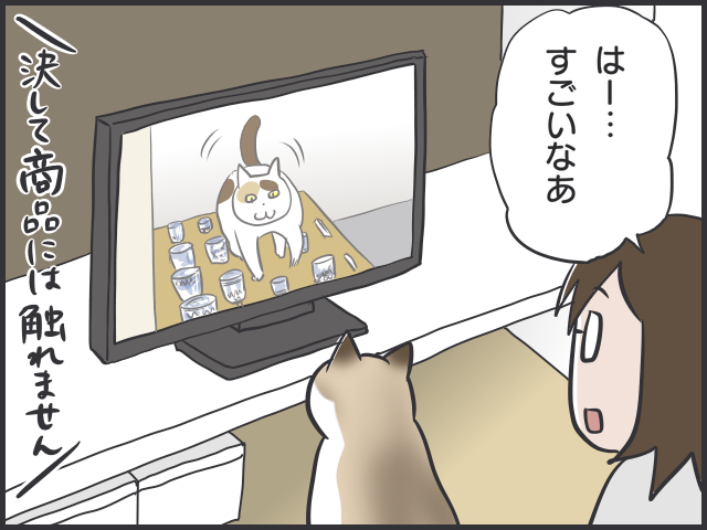 ねえ？ワザとやってない！？ ものを踏んづけ放題の猫たち／フニャコ（2）