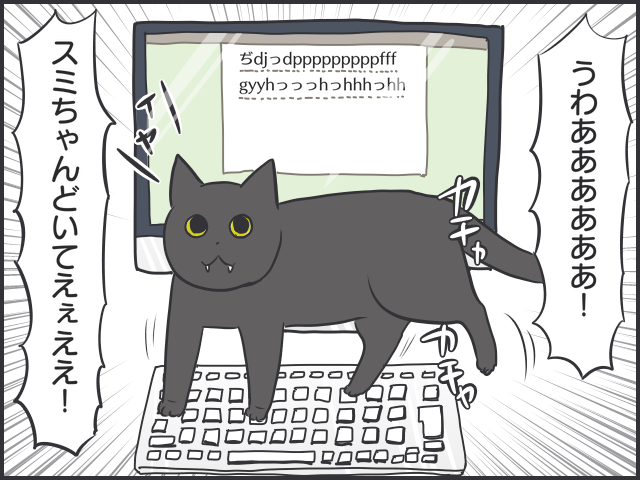 ねえ？ワザとやってない！？ ものを踏んづけ放題の猫たち／フニャコ（6）