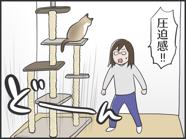 なぜあの時気づかなかった～！猫と暮らす家づくり、後悔した箇所は？／フニャコ（3）