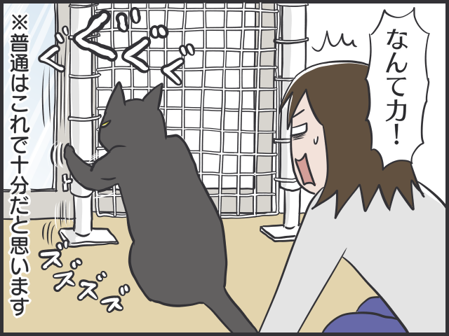 なぜあの時気づかなかった～！猫と暮らす家づくり、後悔した箇所は？／フニャコ（4）