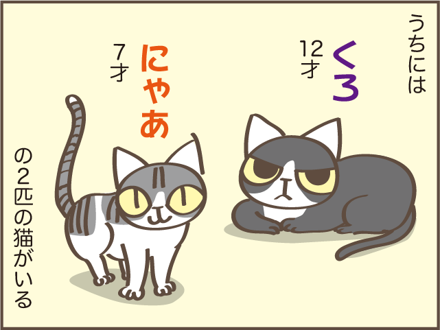 あの時もっと構ってあげていれば... 猫の育て方による性格の違い／しまえもん（2）