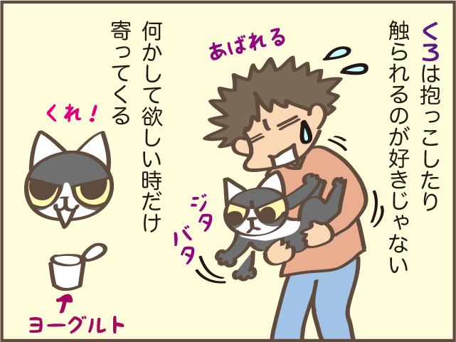 あの時もっと構ってあげていれば... 猫の育て方による性格の違い／しまえもん（3）