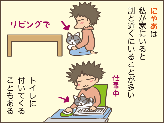 あの時もっと構ってあげていれば... 猫の育て方による性格の違い／しまえもん（4）