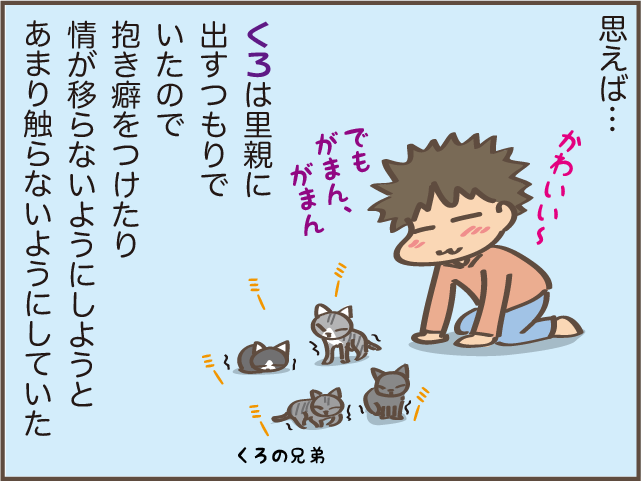 あの時もっと構ってあげていれば... 猫の育て方による性格の違い／しまえもん（7）