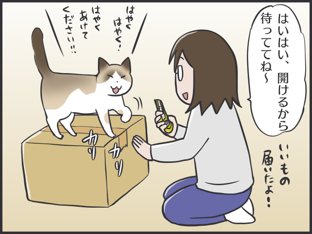 ダンボールが好きすぎる！ギチギチでもとにかく入りたい猫あるある／フニャコ（2）