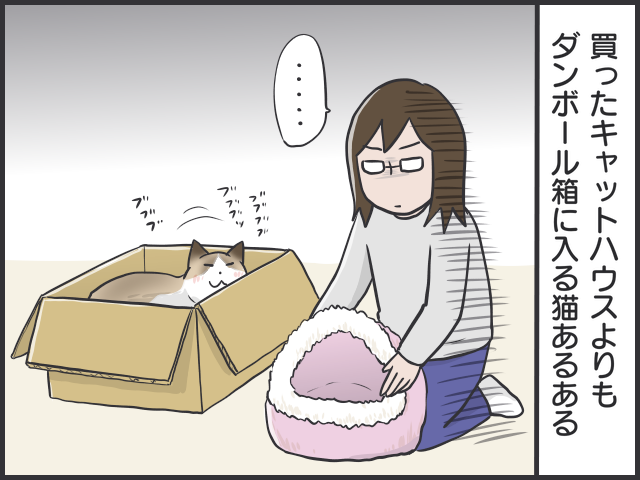 ダンボールが好きすぎる！ギチギチでもとにかく入りたい猫あるある／フニャコ（3）