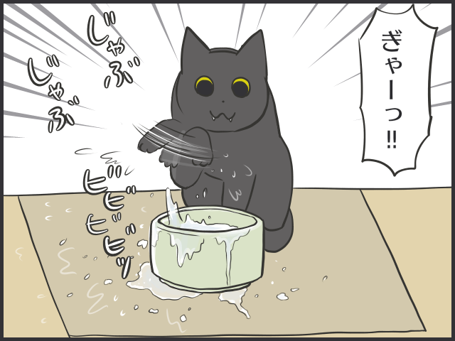 量、足りてる？どんな器がお好み？我が家の猫の飲み水対策／フニャコ（1）