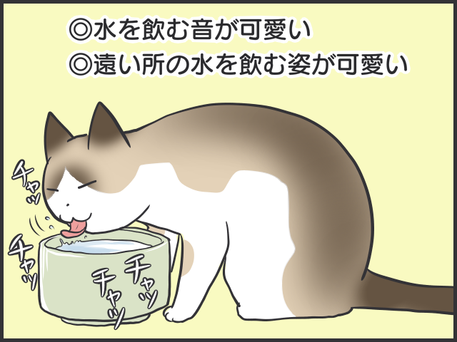量、足りてる？どんな器がお好み？我が家の猫の飲み水対策／フニャコ（2）