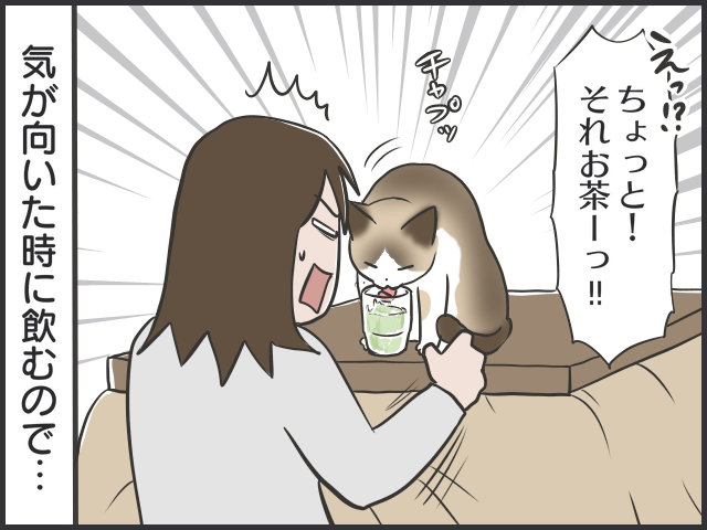 量、足りてる？どんな器がお好み？我が家の猫の飲み水対策／フニャコ（4）