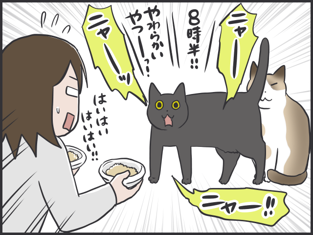 ご飯の時間だニャー！時計ぴったりな猫たちのスケジュール／フニャコ（1）