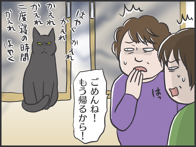 ご飯の時間だニャー！時計ぴったりな猫たちのスケジュール／フニャコ（3）