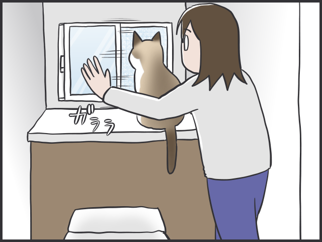ご飯の時間だニャー！時計ぴったりな猫たちのスケジュール／フニャコ（4）