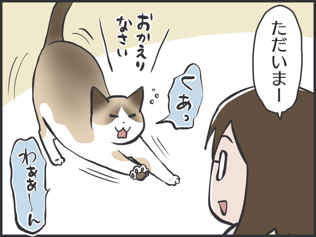 家に帰るとお出迎えにきてくれる猫。しかしそれは人を選ぶようで...／フニャコ（2）