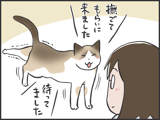 家に帰るとお出迎えにきてくれる猫。しかしそれは人を選ぶようで...／フニャコ（3）