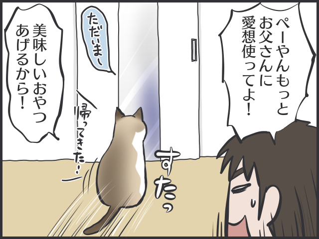 家に帰るとお出迎えにきてくれる猫。しかしそれは人を選ぶようで...／フニャコ（7）