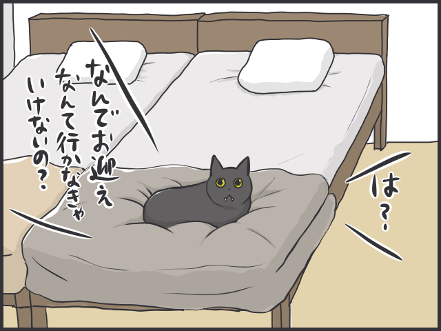 家に帰るとお出迎えにきてくれる猫。しかしそれは人を選ぶようで...／フニャコ（8）