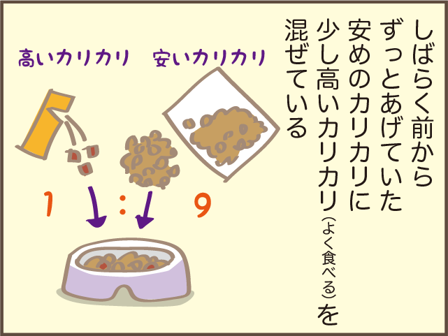 「なんですか？これは」欲求に忠実な猫たちのごはん代が右肩上がり...／しまえもん（3）