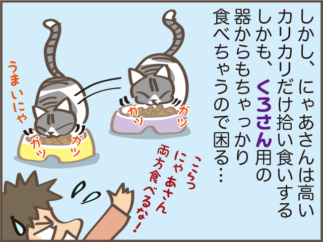 「なんですか？これは」欲求に忠実な猫たちのごはん代が右肩上がり...／しまえもん（4）