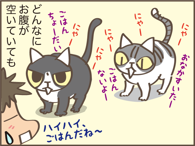 「なんですか？これは」欲求に忠実な猫たちのごはん代が右肩上がり...／しまえもん（5）