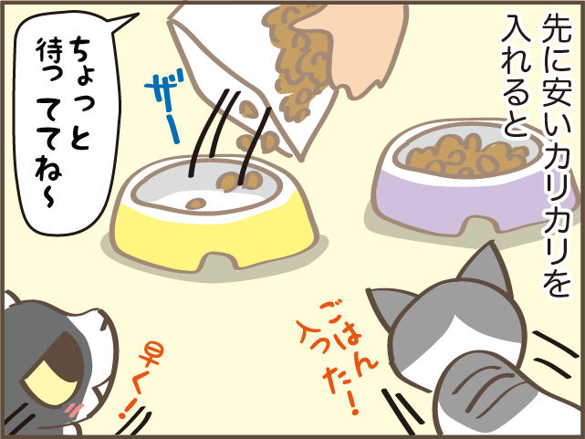 「なんですか？これは」欲求に忠実な猫たちのごはん代が右肩上がり...／しまえもん（6）