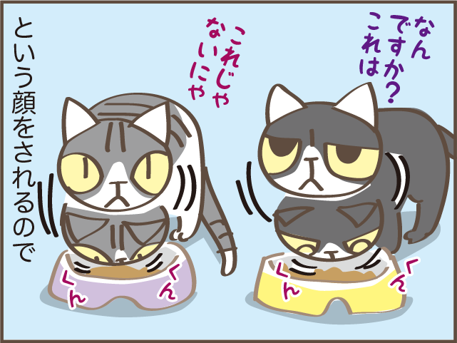 「なんですか？これは」欲求に忠実な猫たちのごはん代が右肩上がり...／しまえもん（7）