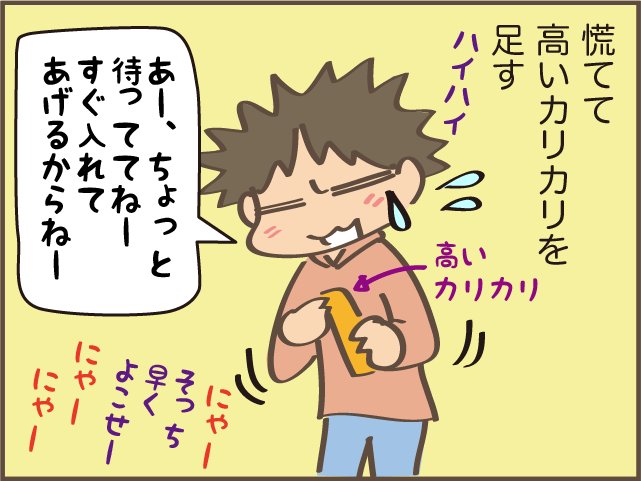 「なんですか？これは」欲求に忠実な猫たちのごはん代が右肩上がり...／しまえもん（8）