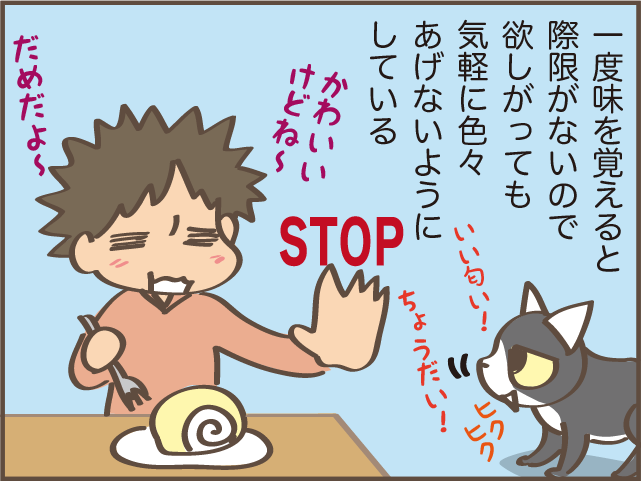 「なんですか？これは」欲求に忠実な猫たちのごはん代が右肩上がり...／しまえもん（9）