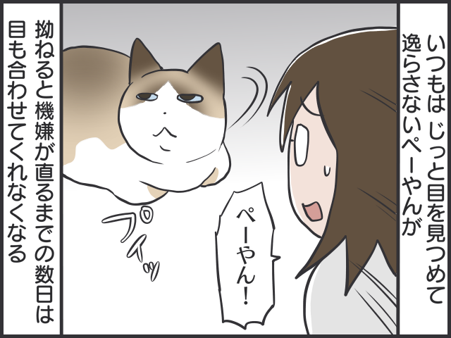 半日も家を空けられないのは猫のせい？ それとも...／フニャコ（3）