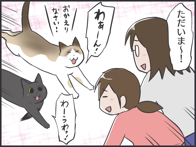半日も家を空けられないのは猫のせい？ それとも...／フニャコ（5）