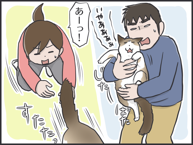 猫を上手く抱っこするためには...猫の○○○になりきるべし！／フニャコ（2）