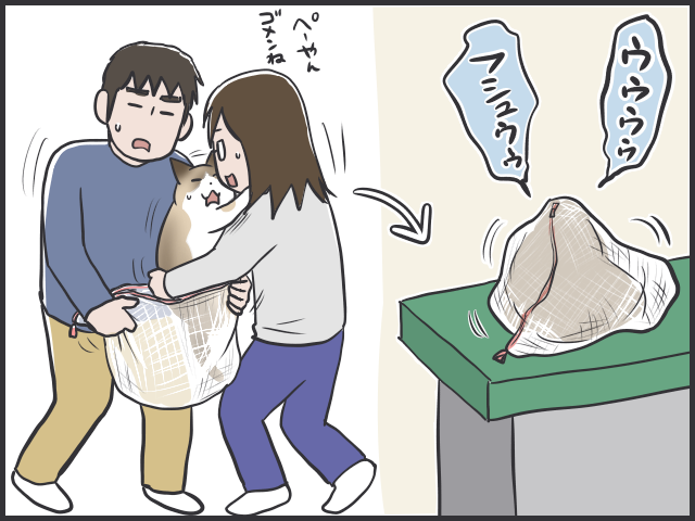 病院嫌いで大暴れ！猫の移動には洗濯ネットを活用すべし／フニャコ（1）
