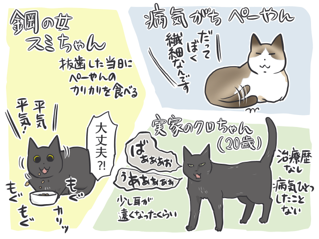 病院嫌いで大暴れ！猫の移動には洗濯ネットを活用すべし／フニャコ（2）