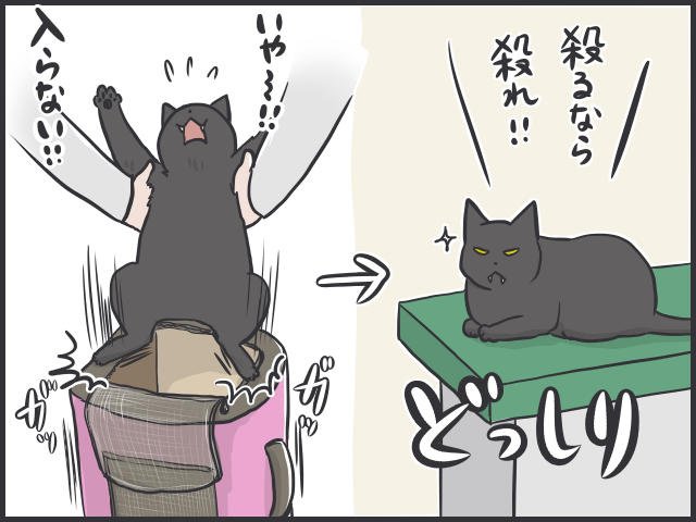 病院嫌いで大暴れ！猫の移動には洗濯ネットを活用すべし／フニャコ（3）