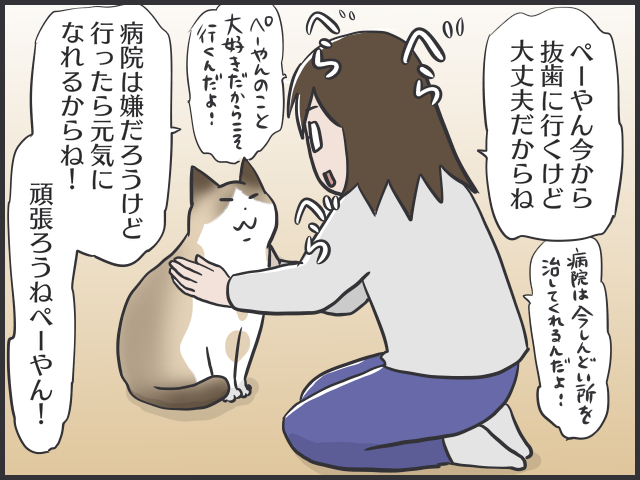 病院嫌いで大暴れ！猫の移動には洗濯ネットを活用すべし／フニャコ（5）