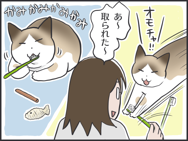 虹の橋を渡ったぺーやん。愛猫最期の闘病記／フニャコ（2）