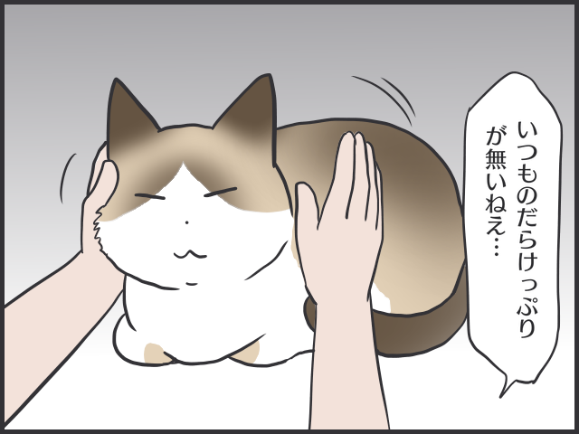 開腹手術の結果は末期ガン...愛猫最期の闘病記／フニャコ（2）