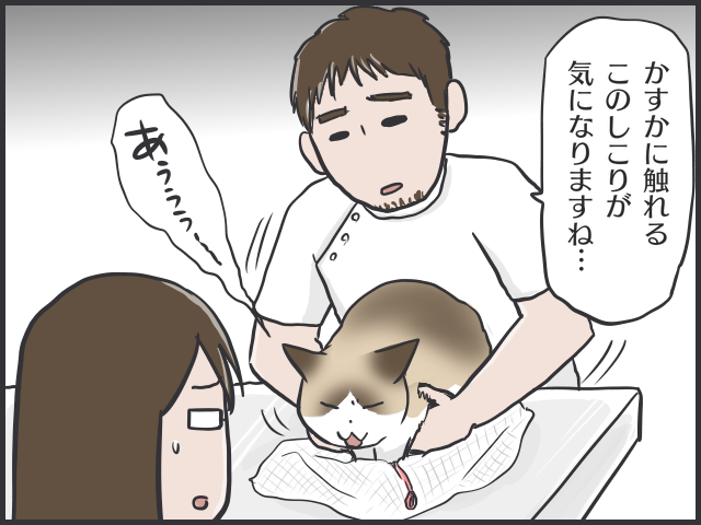 開腹手術の結果は末期ガン...愛猫最期の闘病記／フニャコ（3）
