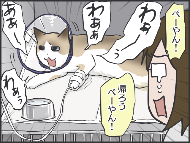 さよならぺーやん。せめて最期はおうちで一緒に...／フニャコ（1）