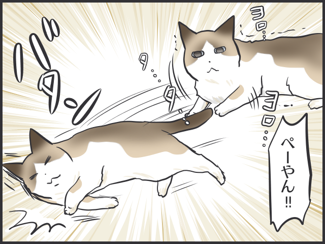 さよならぺーやん。せめて最期はおうちで一緒に...／フニャコ（4）