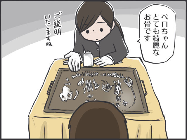 「まだ火葬したくない」愛猫のやわらかな毛をなで続けた日／フニャコ（5）